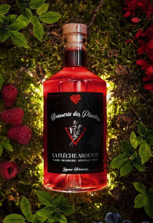 LA FLÈCHE ARDENTE - Liqueur artisanale – 27% alc